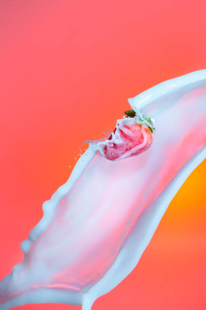 One Strawberry Flying in Milk Splashes Droplets. Isolated Against Red Background. Vertical Image