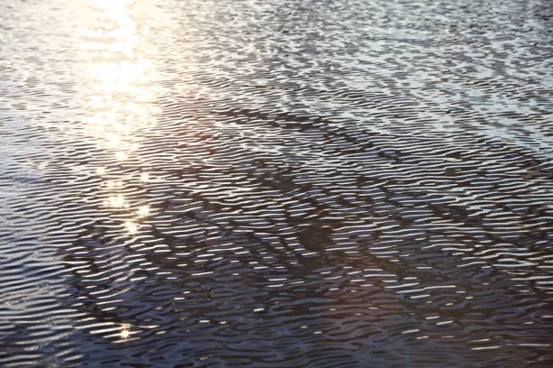 istock Bright sun glare and beautiful glowing ripples on water surface close-up 1276501454