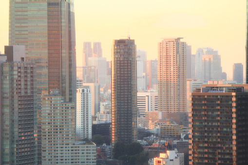 Tokyo cityscape shining in the pale orange sunlight