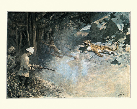 Vintage illustration scene from La Mangeuse D'Hommes (The Man Eater) by J H Rosny. Big game hunter shooting a tiger, India, 19th Century