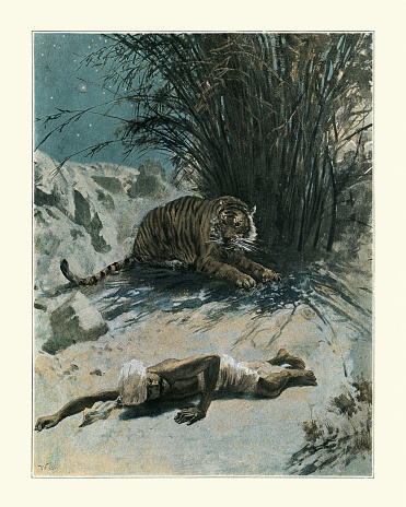 Vintage illustration scene from La Mangeuse D'Hommes (The Man Eater) by J H Rosny. Man eating tiger attacking a man, India, 19th Century