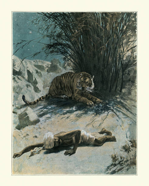 Man Eating Tiger Attacking A Man India 19th Century Stock Illustration -  Download Image Now - iStock