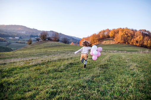 Rear view of cheerful small girl with balloons running in autumn nature.