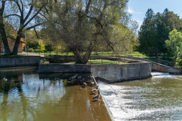istock Enabling Garden and Riverside Park, Guelph, Ontario, Canada 1276513552