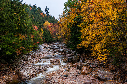 Stream in Vermont in the fall.