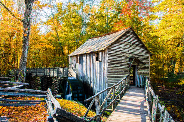 molino y puente de cades cove - great smoky mountains great smoky mountains national park leaf autumn fotografías e imágenes de stock