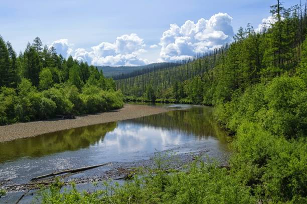istock Untouched nature, peace and tranquility on the mountain river. 1276526734