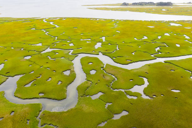 vista aérea de la hermosa marisma de salt en cape cod - cape cod new england sea marsh fotografías e imágenes de stock