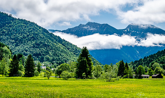 Countryside with the Alps in the background, under a blue sky covered by white clouds