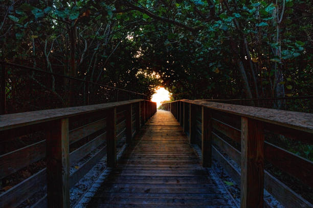 istock Bluebill Beach Access to Delnor-Wiggins Pass State Park 1276531674