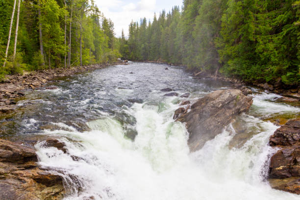 istock Murtle River and water falls in British Columbia Canada 1276531725