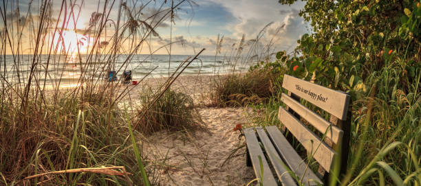 Wood bench overlooks White sand path leading toward Delnor Wiggins State Park at sunset in Naples, Florida.