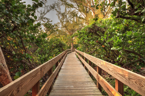 istock Boardwalk leading toward Delnor-Wiggins State Park 1276531838