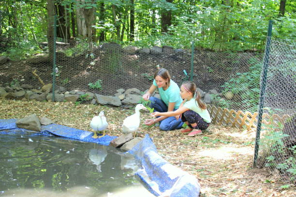 istock Mother and daughter with ducks 1276533893