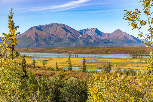Denali Hwy is access to a large remote area in central Alaska.