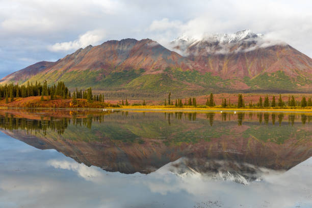 istock Fall Scenery along the Denali Highway, Alaska 1276536413