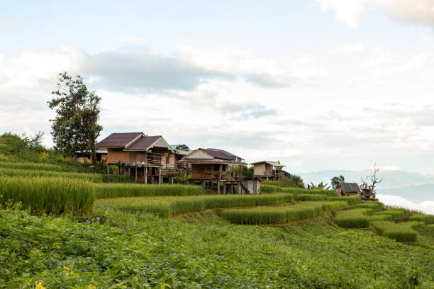 istock Beautiful tourist accommodation scenery on high mountains, valleys, rice fields and agricultural plots. 1276537722