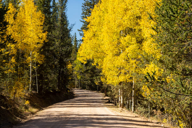 istock Autumn on Anne-Marie Falls Trail 1276545468
