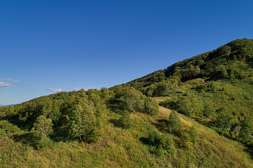 Top of a hill with groves of trees against a background of clear sky shot from a drone