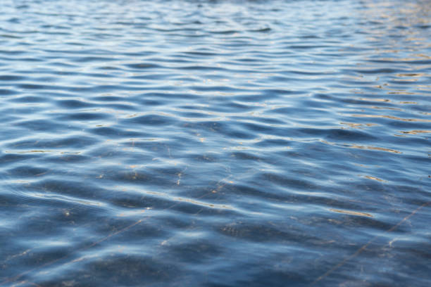 istock Water background. Shining blue wavy water surface ripple background, backdrop. 1276551189