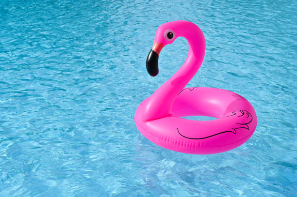 forme de flamingo, anneau flottant en caoutchouc dans la piscine - plastic flamingo photos et images de collection