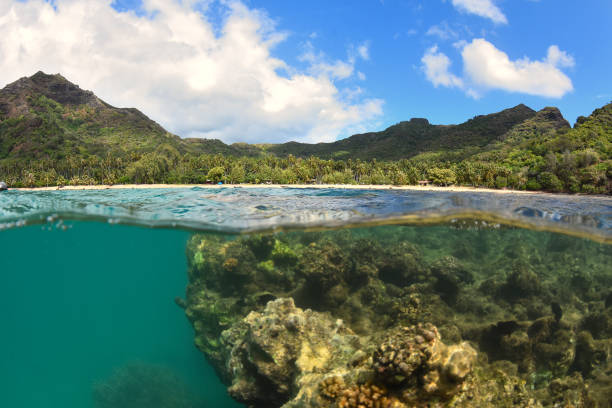 istock Underwater landscapes of anaho 1276554865