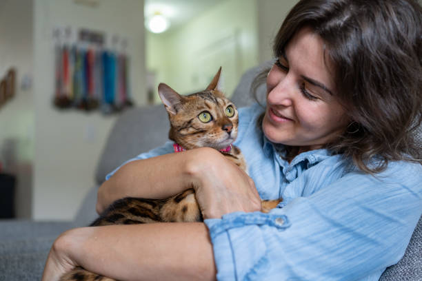 istock Woman with her cats indoors 1276558990