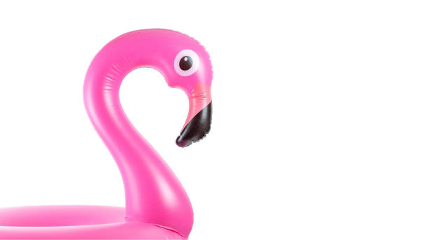 istock Flamingo isolated. Pink inflatable flamingo for summer beach isolated on white background. Pool float party. 1276559012