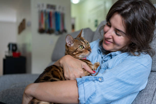 istock Woman with her cats indoors 1276559534