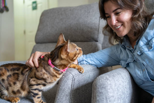 istock Woman with her cats indoors 1276559546