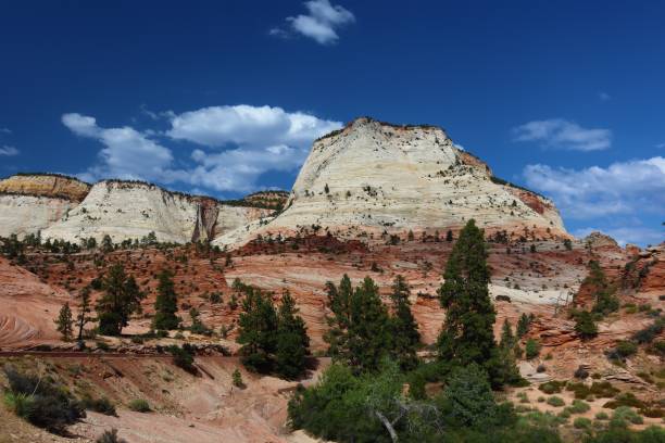 istock Blue Skies in Zion National Park 1276559791