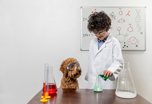 High quality stock photos of a child and his dog engaged in humorous spoof on a mad scientist and chemist in a mock laboratory.