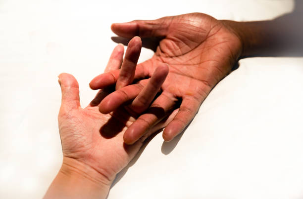play shadow projected on a white screen. the person's hands shape a rabbit