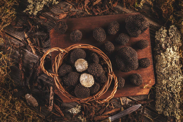 istock Flat lay of black truffles mushrooms 1276564096