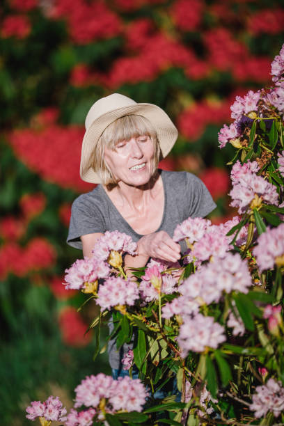 istock Contentment is a garden near you 1276564752