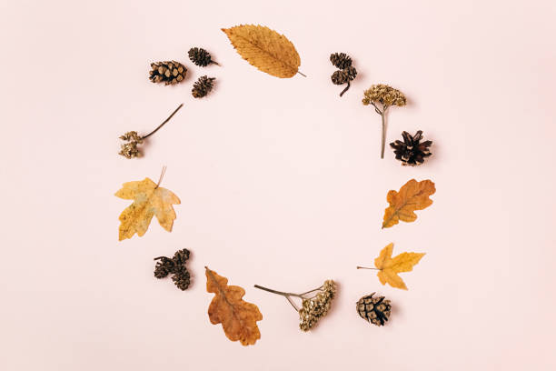 istock Creative composition. Wreath made of dried various leaves, flowers, pine cones on pink studio background for advertisement. Autumn, fall, thanksgiving day concept. Flat lay, top view 1276566397