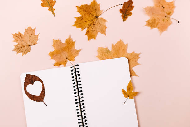 istock Autumn and winter composition. Notebook and dry autumn leaves maple on pastel pink background. Thanksgiving, fall, halloween concept. Flat lay, top view, copy space 1276566463
