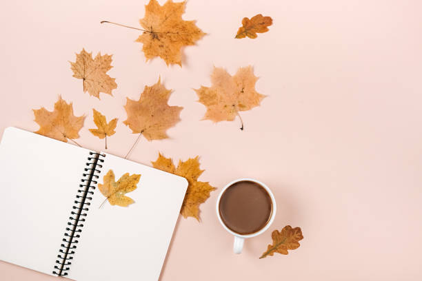 istock Autumn composition. Dried various leaves, coffee cup and notebook on pink studio background for advertisement. Autumn, fall, thanksgiving day concept. Flat lay, top view 1276566464