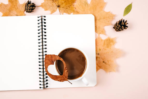 istock Autumn composition. Dried various leaves, coffee milk latte cup, pine cones and notebook on pink studio background for advertisement. Autumn, fall, thanksgiving day concept. Flat lay, top view 1276566538