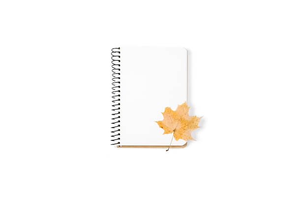 istock Autumn and winter composition. Notebook and dry autumn leaf maple on white studio background. Thanksgiving, fall, halloween concept. Flat lay, top view, copy space 1276567094