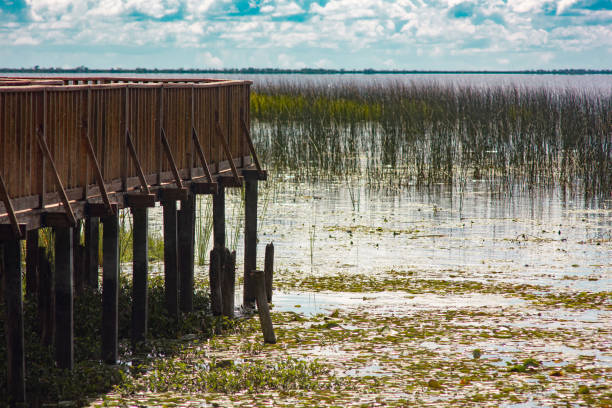 istock Pier and panoramic view point of the wetlands 1276568791