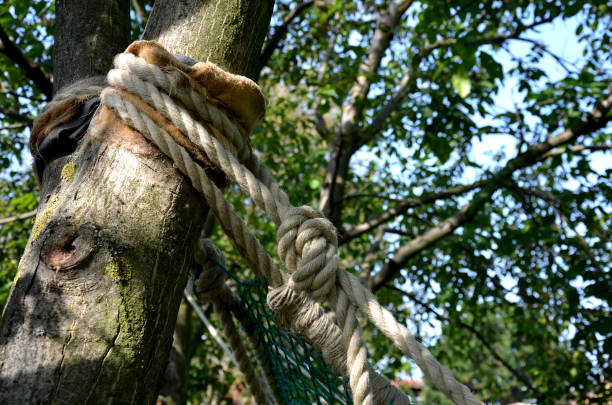 istock what can be made at home from ropes and cords. It is a good idea to tie hammocks securely to a tree so that the bark is not damaged. knotting can be tied in the shape of a ball on which children swing 1276569621