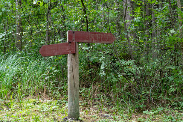 istock Two arrow rusty brown wooden signs in green forest 1276569993