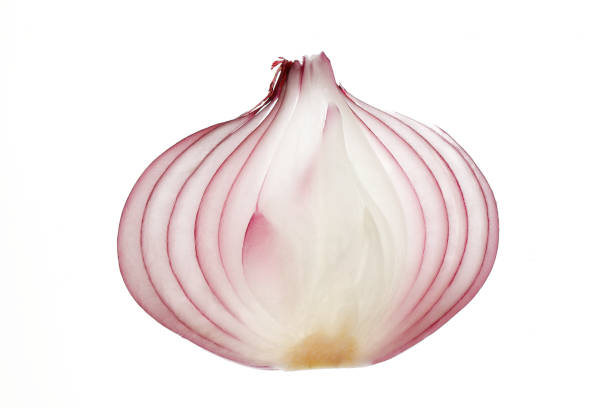 istock Purple onions on a white background 1276570567