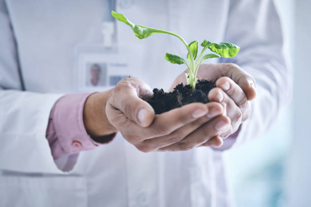 istock Studying the world is key to understanding the big picture 1276570758