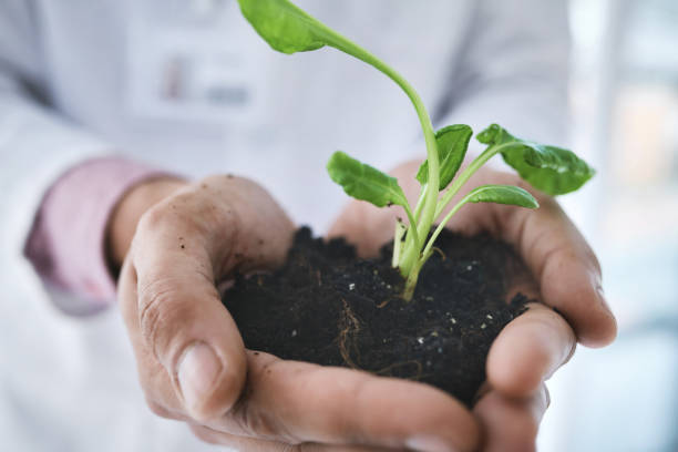 istock Plant science is essential to maintaining the world around us 1276570767
