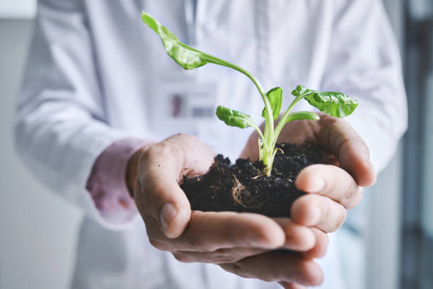istock Many studies show that it's vital to support sustainable practices 1276570769