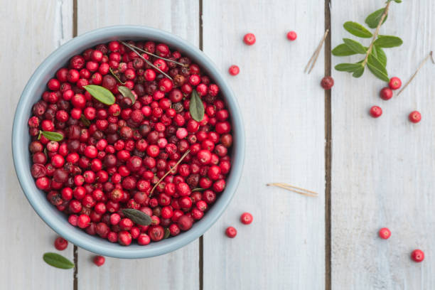istock Fresh ripe forest northern lingonberries in a ceramic bowl on a white rustic plank table. Top View 1276570783