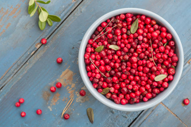 istock Fresh ripe forest northern lingonberries in a ceramic bowl on a blue rustic plank table. Top View 1276570787