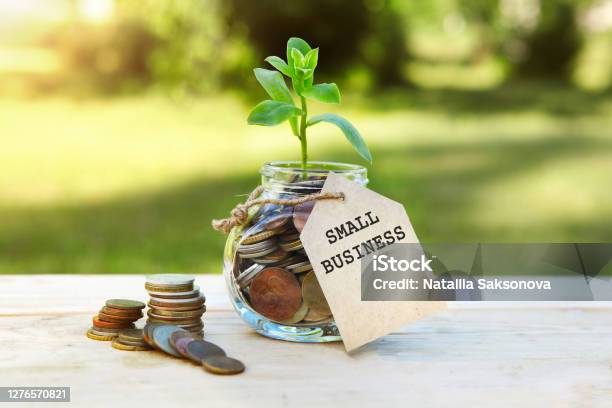 Small Business Glass Jar With Coins And A Plant In It With A Label On The Jar And A Few Coins On A Wooden Table Natural Background Finance And Investment Concept Stock Photo - Download Image Now